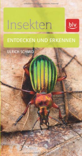 Insekten: Entdecken und erkennen von BLV Buchverlag